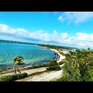 Meet your Posher, Laurie